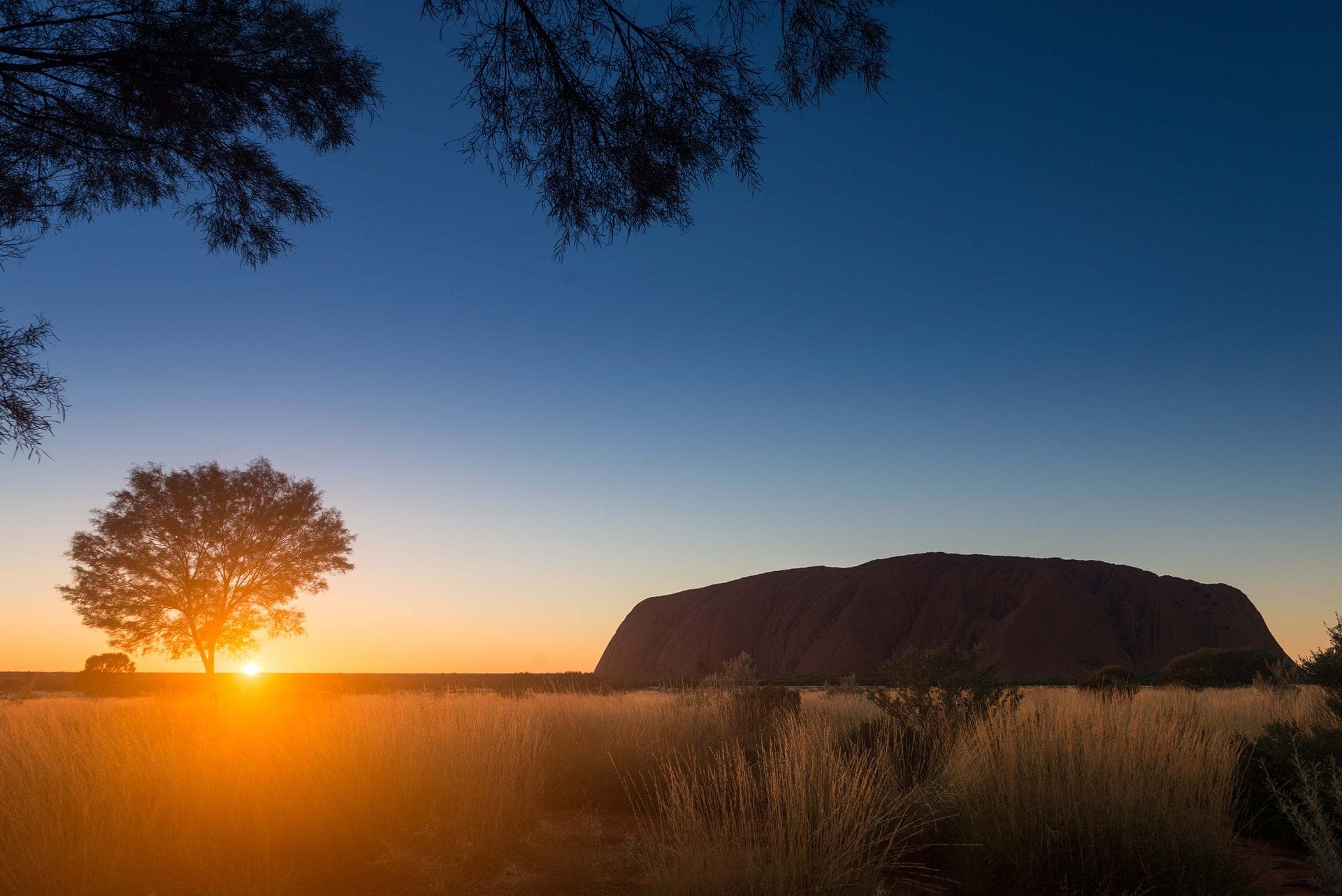 Uluru at sunrise, Central Australia